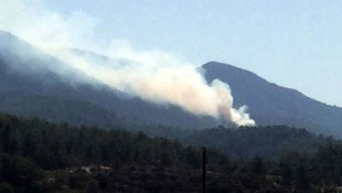 Muğlada orman yangını çıktı