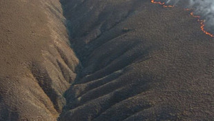 Paşalimanı Adası'nda yangın