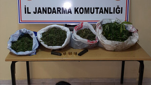 Sakarya'da uyuşturucu operasyonu