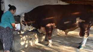 Şampiyon Doruk elde kaldı