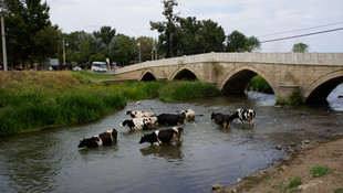 Sıcak hava nehirlerin debilerini düşürdü