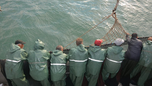 Sinop'ta avlanan palamut Ordu'da tezgahları süslüyor