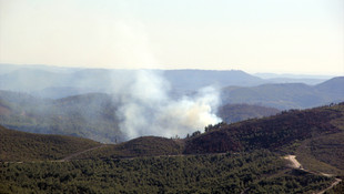 Suriye sınırında orman yangını