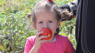 Konyada Tarıma Engel Yok hasat şenliği yapıldı