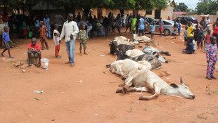 Togo'lu muhtaçlar Cansuyu ile güldü