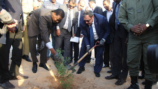 Türkiye'den Moritanya'ya tohum desteği