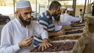 Türkler hurma bahçeleri ile piyasaya hareket getirdi