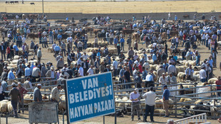 Vanda kurbanlıklar satışa çıktı