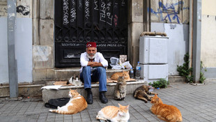 Vefayı kedilerde buldu