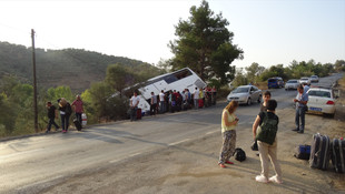 Yolcu otobüsünü devrilmekten zeytin ağacı kurtardı