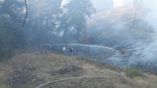 Yozgat'ta orman yangını