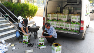Zeytin tenekelerinde kaçak sigara bulundu