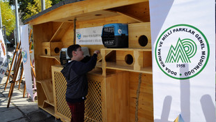 4 Ekim Dünya Hayvanları Koruma Günü