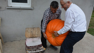 90 kilogramlık bal kabağı yetiştirdi