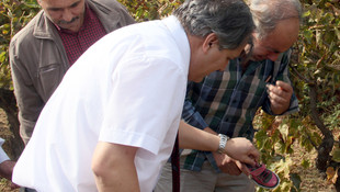 GÜNCELLEME
Alaşehir'de kız çocuğunun kaybolması