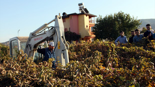 Alaşehir'de kız çocuğunun kaybolması