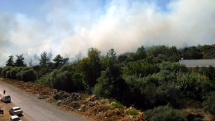 Antalya'da orman yangını