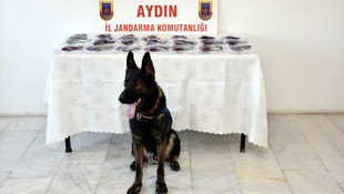 Aydın'da kaçak silah ticareti operasyonu
