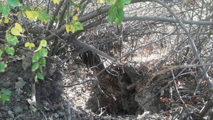 Batman'da terör operasyonu