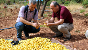 Belen alıcı tescil yolunda