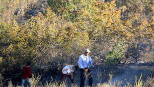 Bingöl'de orman yangını