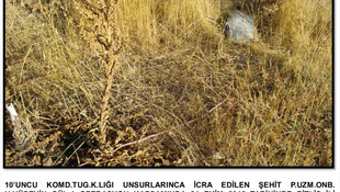 Bitlis'te terör operasyonu