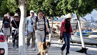 Bodrum'a iki kruvaziyerle 3 bin 189 yolcu geldi