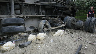 Bursa'da hindi taşıyan kamyon devrildi: 1 ölü