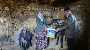 Çobanın otuz yıllık emeğini çaldılar