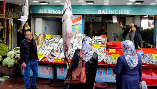Elazığ'da dev turna balığı yakalandı