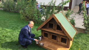 Engelli kursiyerlerden kedi ve kuşlar için barınak