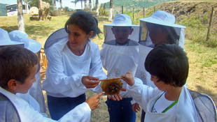 EXPO 2016 Antalya'da sokmayan arılar ilgi görüyor