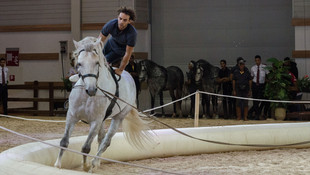 Fas’ta At ve Binicilik Fuarı