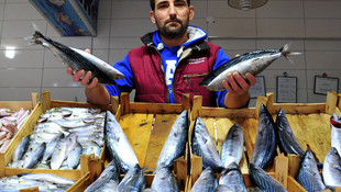 Fırtına balık fiyatlarını artırdı