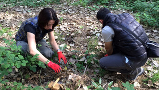 Fotokapanlarla hayvan türlerini belirliyorlar