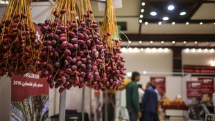 Gazze'de taze hurma fuarı