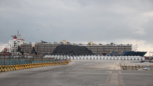 Güney Amerika'dan sığır ithalatı