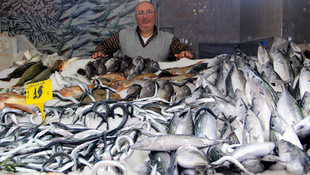 Hava şartları düzeldi, balıkçının yüzü güldü