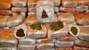 İstanbul'da 1 ton 100 kilogram skank ele geçirildi