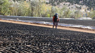 Kadınlar ekmeklerini fidanlıktan çıkartıyor