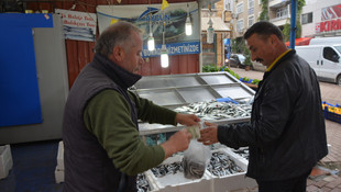 Karadeniz hamsisi tezgaha düştü