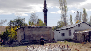 Kars'ta kazlar besiye alındı