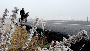 Kars'ta soğuk hava ve sis