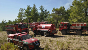 Manavgat'ta orman yangını