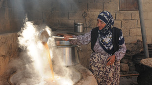 Mardin'de bağ bozumu zamanı