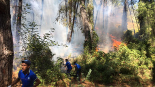 Marmaris'te orman yangını