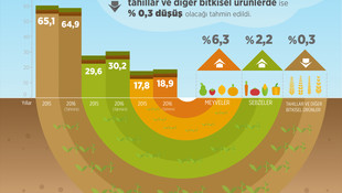 Meyve ve sebze üretiminde artış bekleniyor