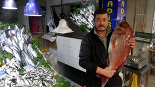 Oltayla 10 kiloluk mercan balığı yakaladı