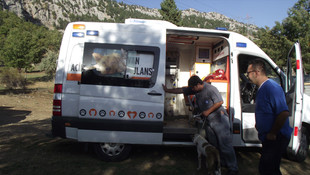 Ölüme terk edilen köpeklere Büyükşehir Belediyesi sahip çıktı