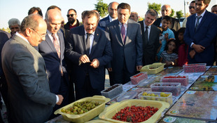 Kanımızın son damlasına kadar mücadele edeceğiz